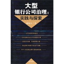 大型银行公司治理：实践与探索