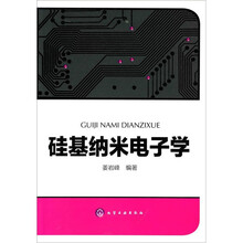 硅基纳米电子学