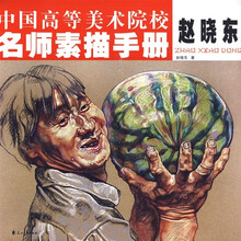 中国高等美术院校名师素描手册:赵晓东