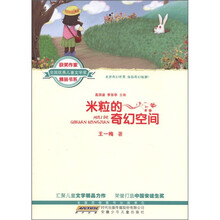 全国优秀儿童文学奖获奖作家精品书系：米粒的奇幻空间