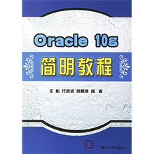 Oracle10g简明教程