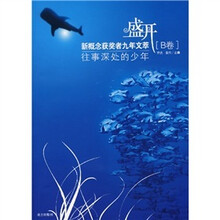 盛开：往事深处的少年