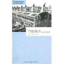 节能城市:城市的智慧