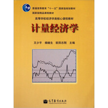 普通高等教育“十一五”国家级规划教材：计量经济学