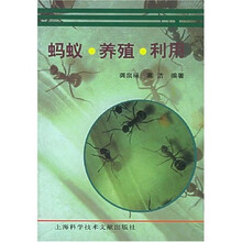 蚂蚁养殖利用