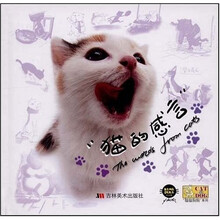 “猫猫狗狗”系列：猫的感言