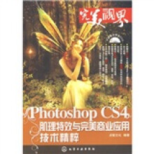 完美“视”界:Photoshop CS4肌理特效与完美商业应用技术精粹(附DVD光盘)