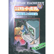 冒险小虎队系列：互联网上的匪徒
