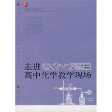 普通高中新课程教学实施案例研修丛书:走进高中化学教学现场