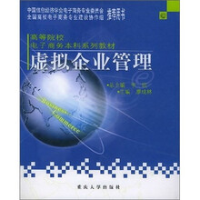 高等院校电子商务本科系列教材：虚拟企业管理