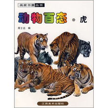 动物百态·虎