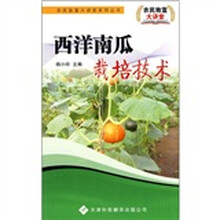 西洋南瓜栽培技术