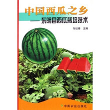 中国西瓜之乡：东明县西瓜栽培技术