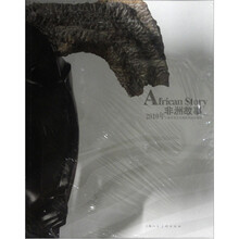 非洲故事：2010年上海世博会非洲联合馆主题展