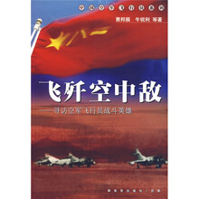 飞歼空中敌:寻访空军飞行员战斗英雄