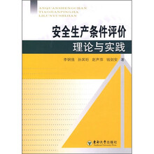 安全生产条件评价理论与实践