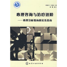 心理咨询与治疗进阶：心理分析取向的实务指南