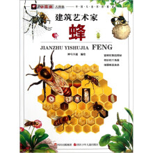 建筑艺术家:蜂