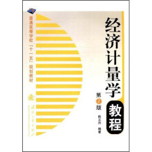 经济计量学教程(第2版)