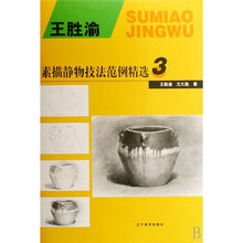 素描静物技法范例精选3