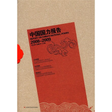 中国国力报告（2008-2009）