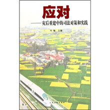 应对：灾后重建中的司法对策和实践