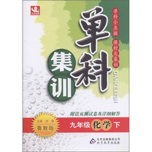 单科集训：9年级化学（下）（鲁教版）（附活页测试卷及详红解答）