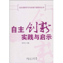 自主创新实践与启示