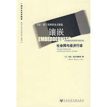 镶嵌：社会网与经济行动
