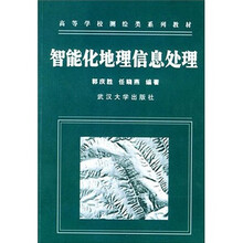 高等学校测绘类系列教材：智能化地理信息处理