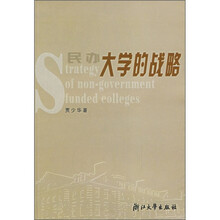 民办大学的战略