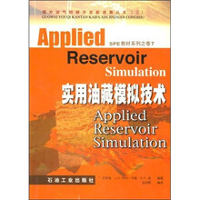 国外油气勘探开发新进展丛书(三):实用油藏模拟技术