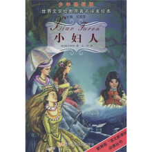 世界文学经典原著名译美绘本:小妇人(少年畅销版)