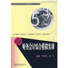 财务会计综合模拟实训