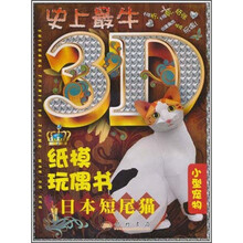 日本短尾猫