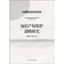 知识产权保护战略研究
