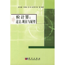 粒计算：过去、现在与展望