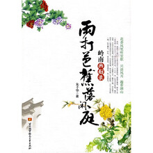 雨打芭蕉落闲庭：岭南画舫录