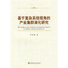 基于复杂系统视角的产业集群演化研究