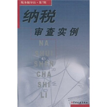 纳税审查实例