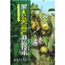 梨无公害高产栽培技术