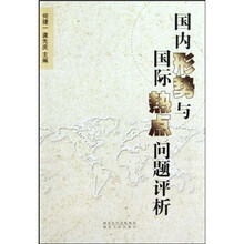 国内形势与国际热点问题评析