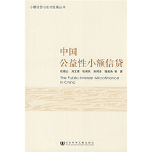 中国公益性小额信贷