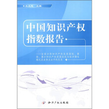 中国知识产权指数报告
