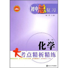 初中总复习：化学大考点精析精练（第2版）