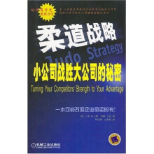 关于大公司的秘密的在职研究生毕业论文范文