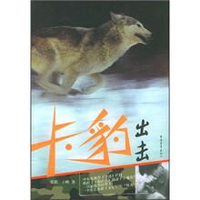 卡豹出击