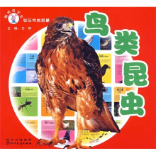 聪明兔宝宝快乐学前启蒙：鸟类昆虫