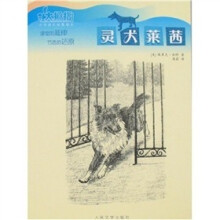 灵犬莱茜