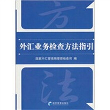 外汇业务检查方法指引